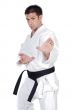 Martial arts stance