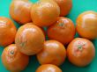 Clementines