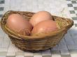 Egg
