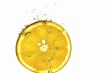 orange splashing