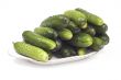 Cucumber