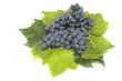 dark grape