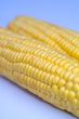 Cob corn
