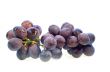 Dark grape