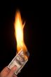 Burning 100 Dollar Bill