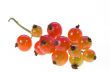 Red currant