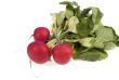 Radish