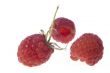 Raspberry