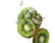 kiwi splashing