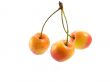 cherries