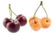 cherries