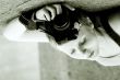 Tender young girl with the camera