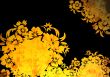 floral style backgrounds frame