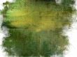 Detailed textured grunge background/frame