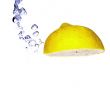 Citrus fruits