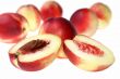 Nectarine