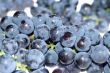 Close-up grape