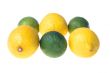 Citrus fruits