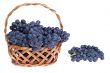 Grape