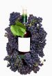 Dark grape and wine