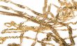 Gold chains