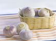 Purple Garlic