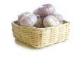 Purple Garlic