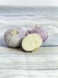 Purple Garlic