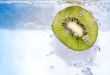 Kiwi slice