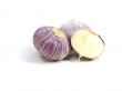 Purple Garlic
