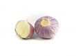 Purple Garlic