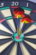 Dartboard with two arrows
