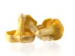 mushrooms