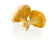 mushrooms