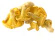 mushrooms