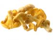 mushrooms