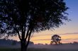 Sunrise Al Sabo Meadow
