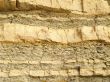 Shale rock texture