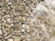 Smooth river stone
