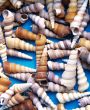 Seashells