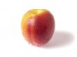 Nectarine