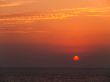 orange sunset in the sea
