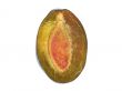 Halh of plum