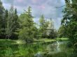 Reflections of the forest in the lake
