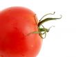 Macro one tomato