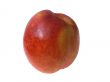 Nectarine