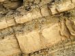 Shale rock texture