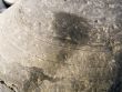 River stone  texture