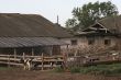 Aging farm