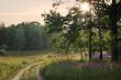 Evening landscape.